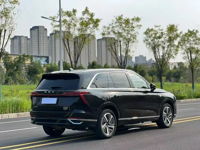 Wey Lanshan — Фото автомобиля 7