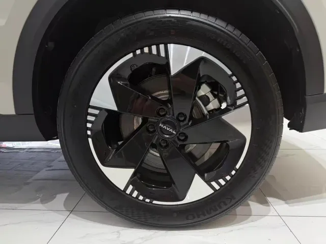 Haval Xiaolong MAX — Фото автомобиля 18
