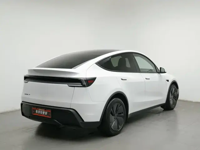 Tesla Model Y — Фото автомобиля 2