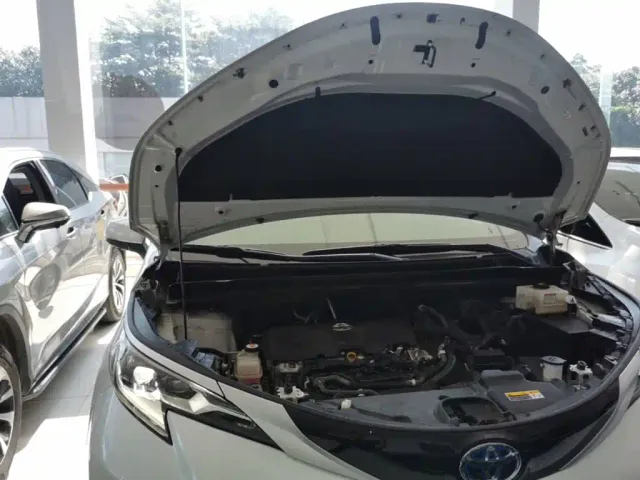 Toyota Sienna — Фото автомобиля 19