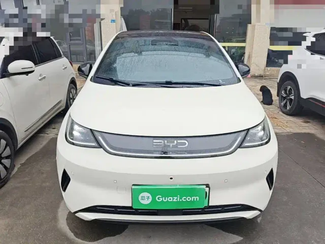 BYD Dolphin — Фото автомобиля 2