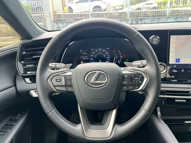 Lexus RX — Фото автомобиля 13