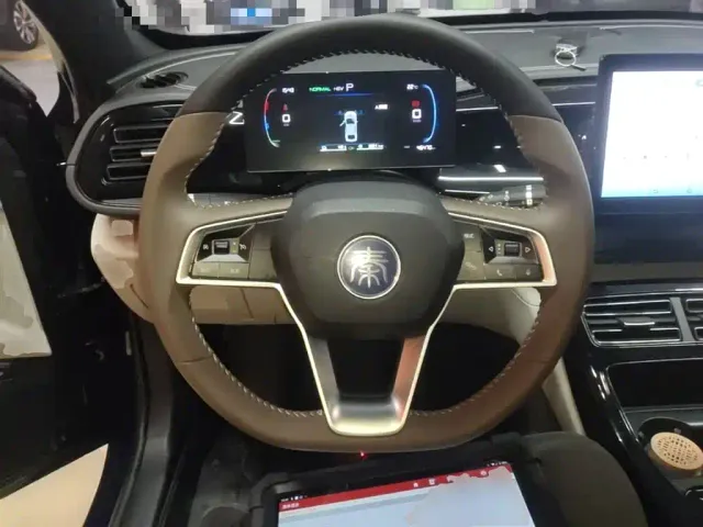 BYD Qin PLUS — Фото автомобиля 10