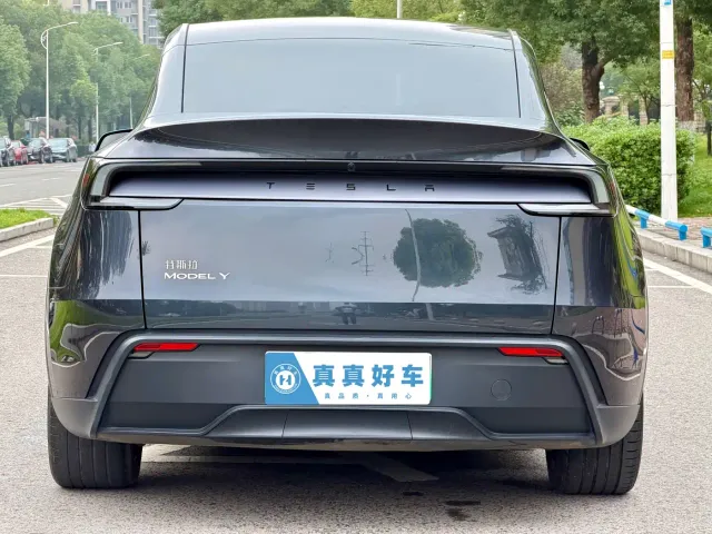 Tesla Model Y — Фото автомобиля 5
