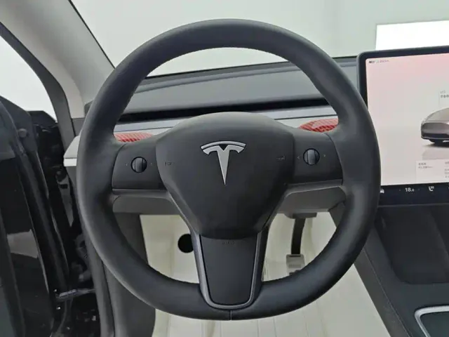 Tesla Model Y — Фото автомобиля 15