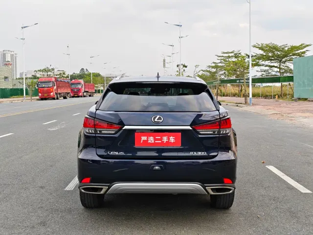 Lexus RX — Фото автомобиля 6