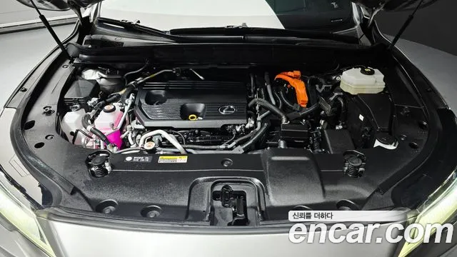 Lexus RX — Фото автомобиля 6