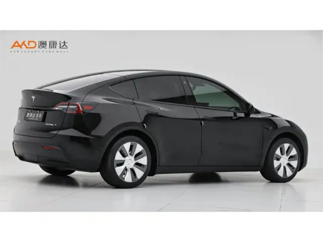 Tesla Model Y — Фото автомобиля 3