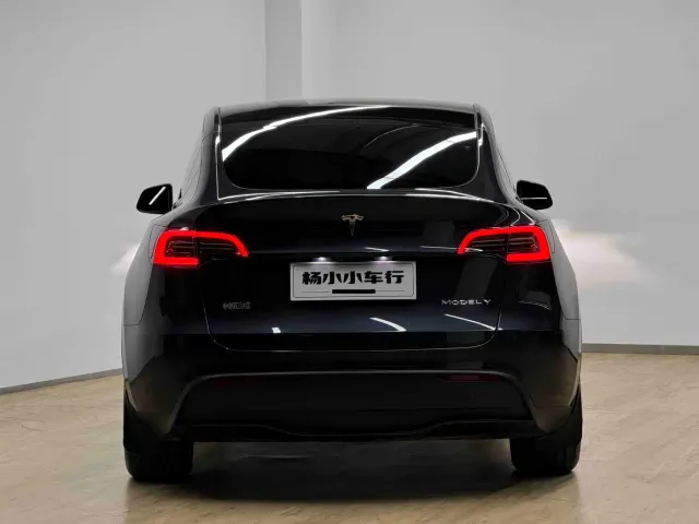 Tesla Model Y — Фото автомобиля 19