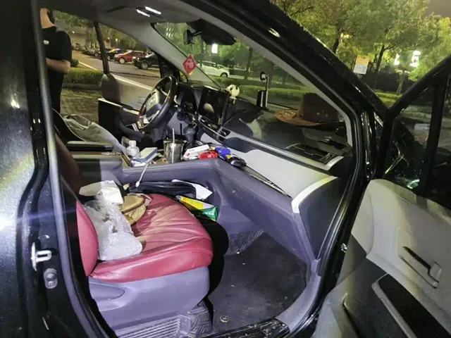 Toyota Sienna — Фото автомобиля 13