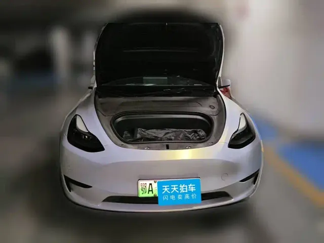 Tesla Model Y — Фото автомобиля 3