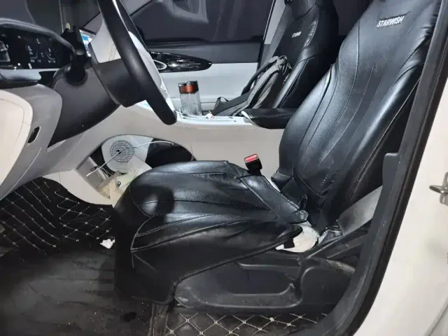 Geely Starry Wish — Фото автомобиля 11