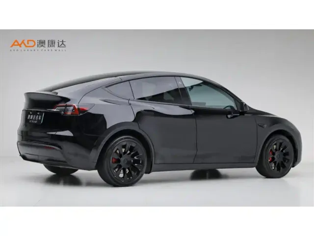 Tesla Model Y — Фото автомобиля 3