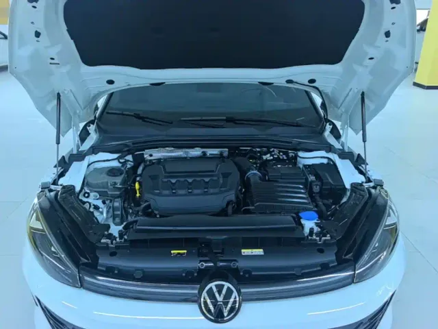 Volkswagen Lamando — Фото автомобиля 19