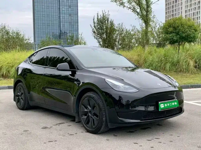 Tesla Model Y — Фото автомобиля 3
