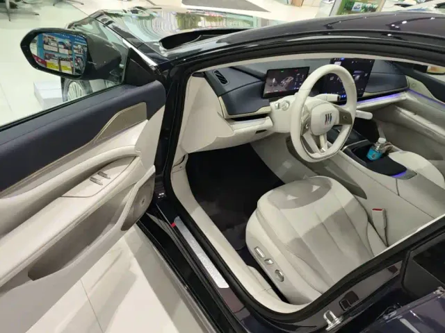 Buick Electra L7 — Фото автомобиля 15