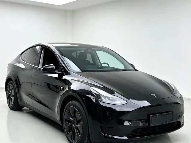 Tesla Model Y — Фото автомобиля 2