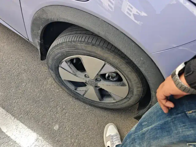 BYD Dolphin — Фото автомобиля 6