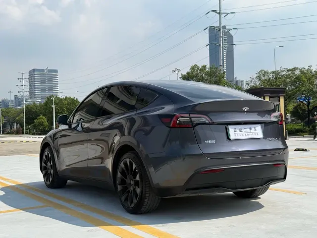 Tesla Model Y — Фото автомобиля 13