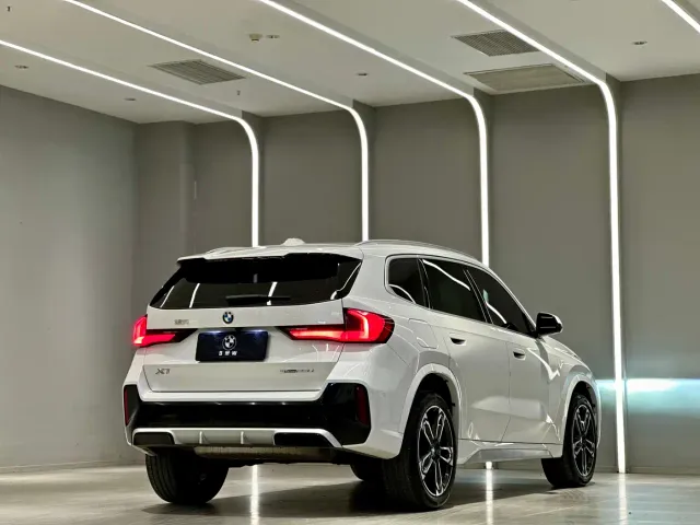 BMW X1 — Фото автомобиля 8