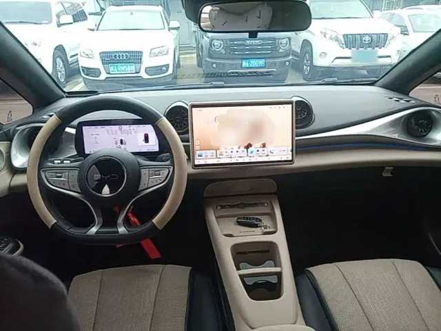 BYD Dolphin — Фото автомобиля 10
