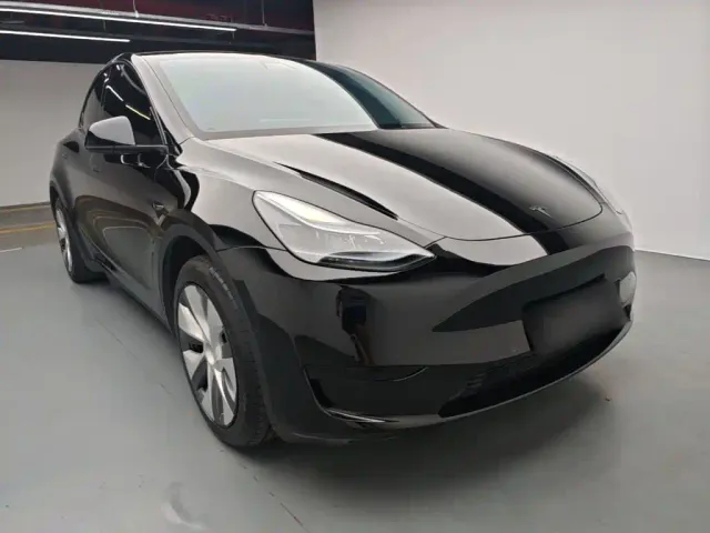Tesla Model Y — Фото автомобиля 3