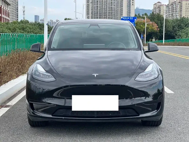 Tesla Model Y — Фото автомобиля 2