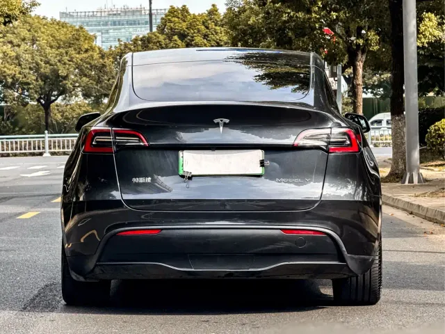 Tesla Model Y — Фото автомобиля 3