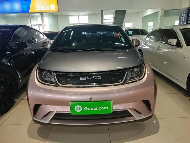 BYD Dolphin — Фото автомобиля 2