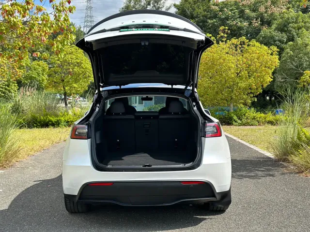 Tesla Model Y — Фото автомобиля 18