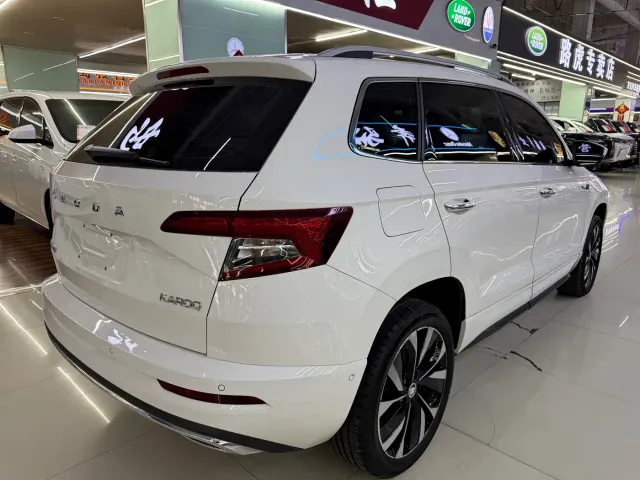 Skoda Karoq — Фото автомобиля 4