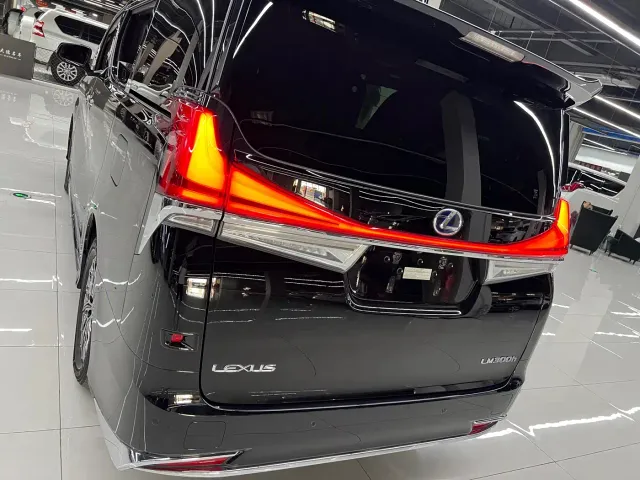 Lexus LM — Фото автомобиля 7