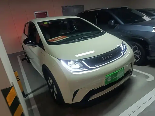 BYD Dolphin — Фото автомобиля 3