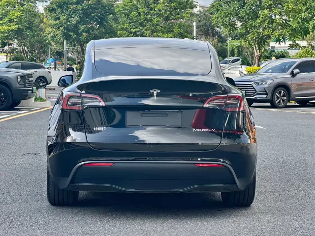 Tesla Model Y — Фото автомобиля 12