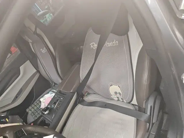 BYD Qin PLUS — Фото автомобиля 11