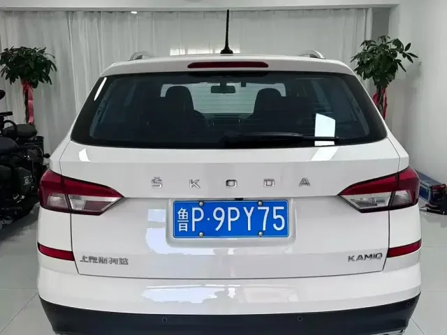 Skoda Kamiq — Фото автомобиля 17
