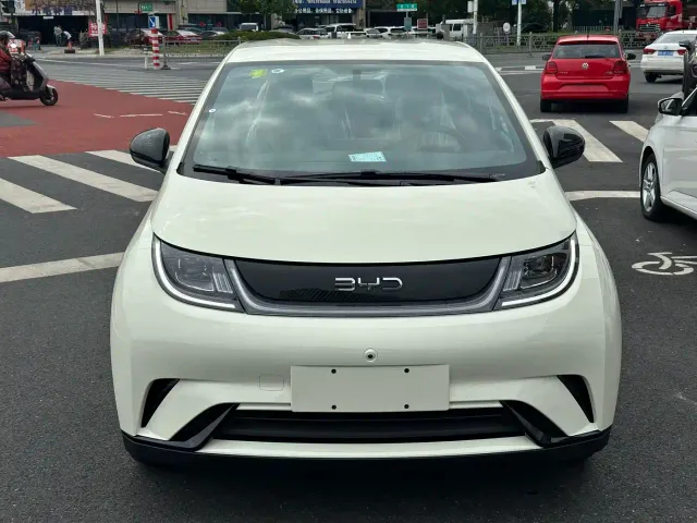 BYD Dolphin — Фото автомобиля 2