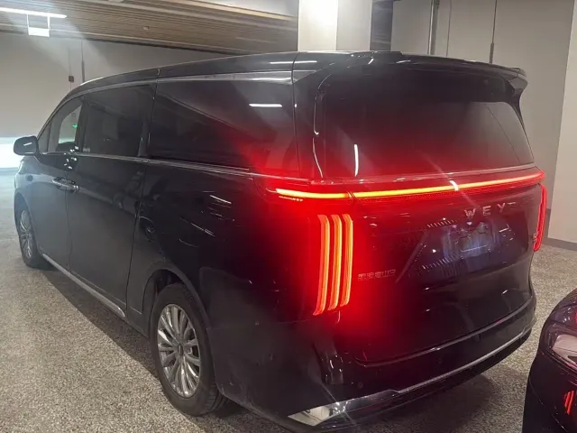 Wey Alpine — Фото автомобиля 3