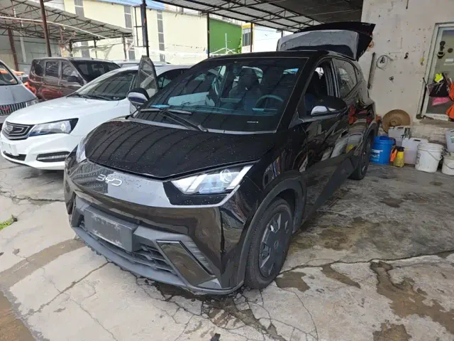 Фотография автомобиля — BYD Seagull