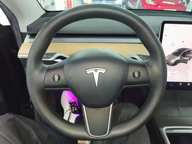 Tesla Model Y — Фото автомобиля 10