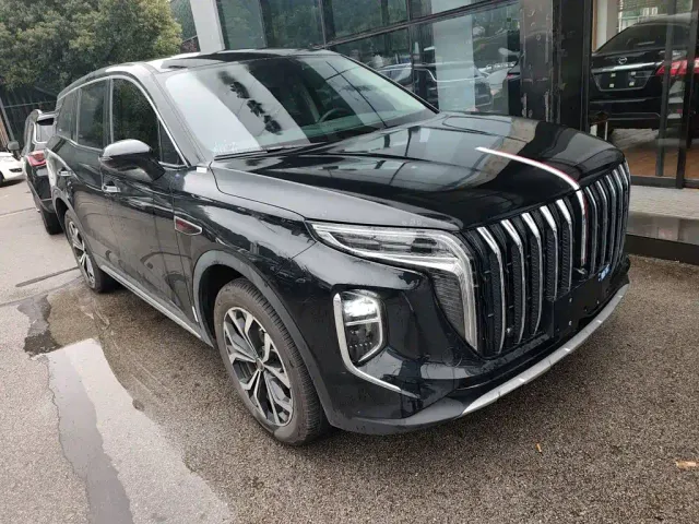 Hongqi HS7 — Фото автомобиля 21