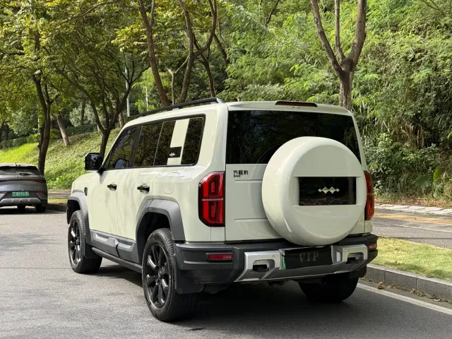BYD FangChengBao Leopard 5 — Фото автомобиля 15