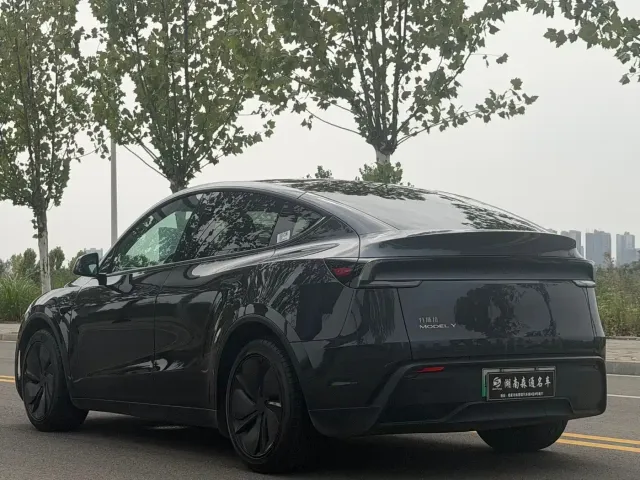 Tesla Model Y — Фото автомобиля 5