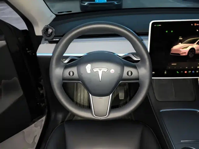 Tesla Model Y — Фото автомобиля 10