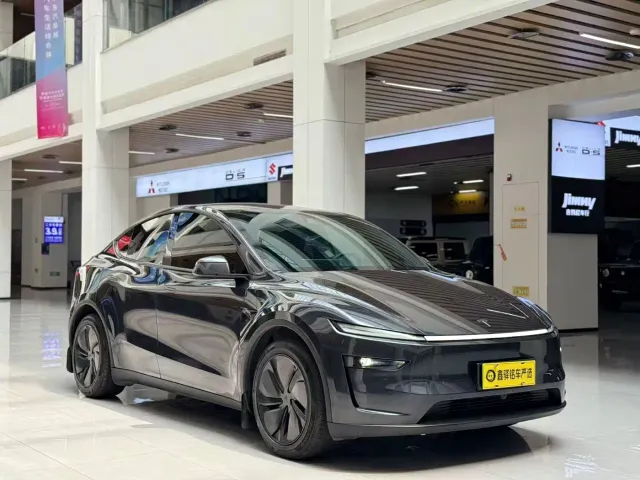 Tesla Model Y — Фото автомобиля 3