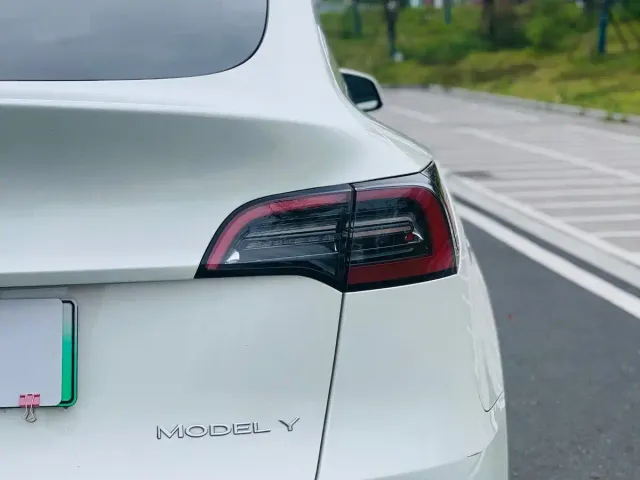 Tesla Model Y — Фото автомобиля 10