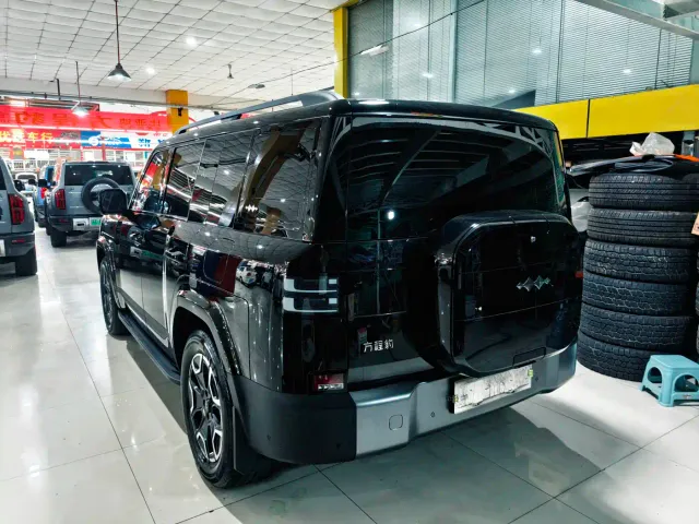 BYD FangChengBao Titanium 7 — Фото автомобиля 21