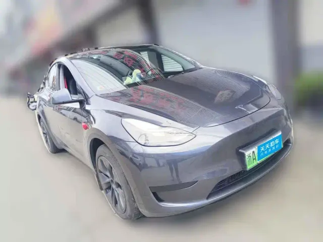Tesla Model Y — Фото автомобиля 3