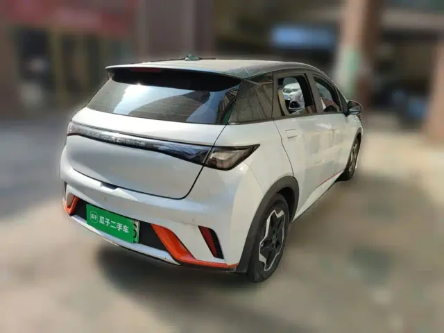 BYD Dolphin — Фото автомобиля 6