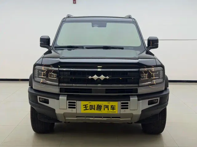 BYD FangChengBao Leopard 5 — Фото автомобиля 2